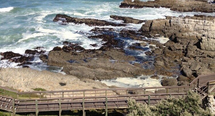 Hermanus Cliff Walk